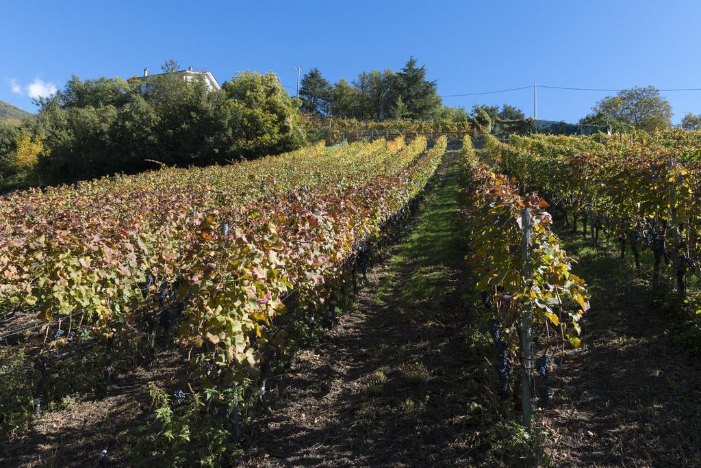 Agriturismo Gli Elfi Aosta Eksteriør billede